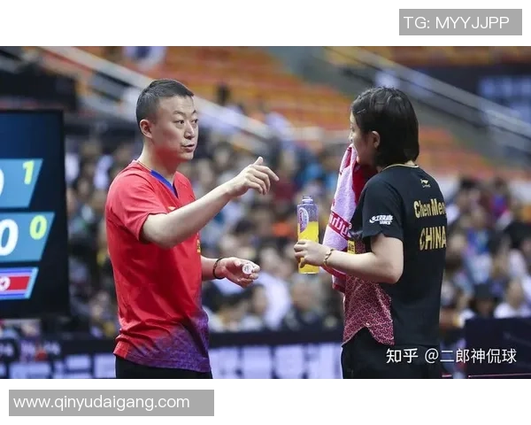 杭州羽毛球队逆袭世锦赛的荣耀之路与奋斗精神的完美结合