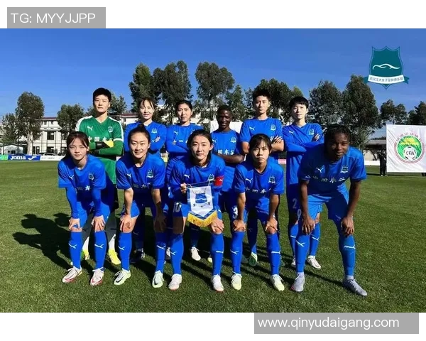 武汉足球队的奋斗历程与荣耀时刻全景纪实