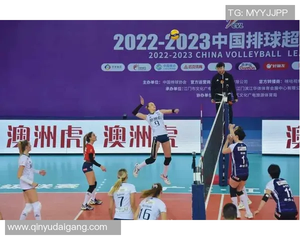 聚焦排球:深圳排球队的状态话题 聚焦排球:深圳排球队的状态话题