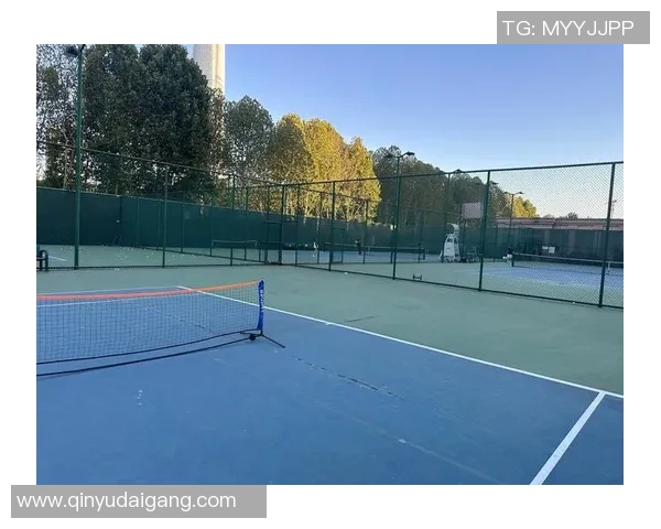 邀请赛点评：武汉网球队的状态表现