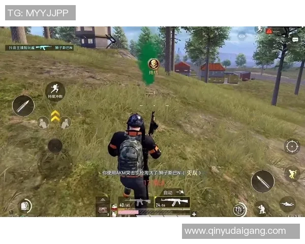 和平精英巨献：探秘WE的团队协作