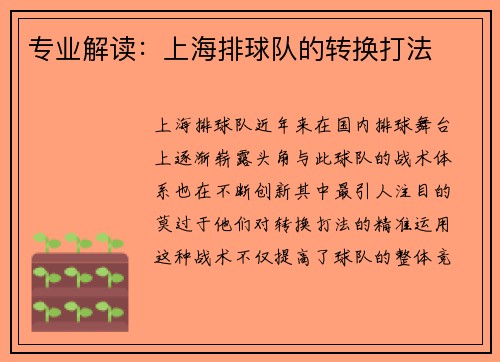 专业解读：上海排球队的转换打法